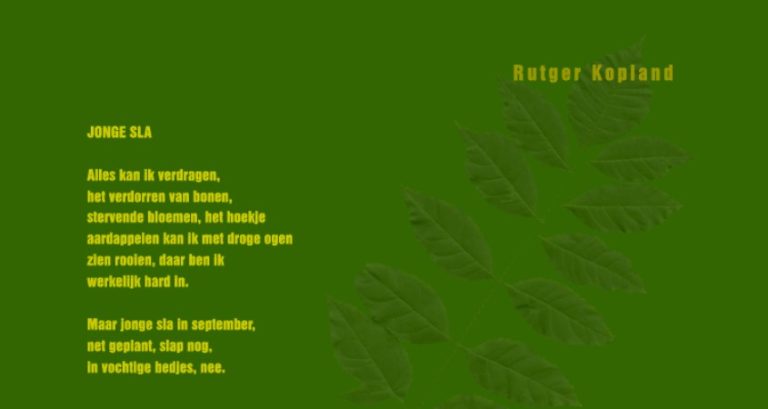 Dichterinhetweb